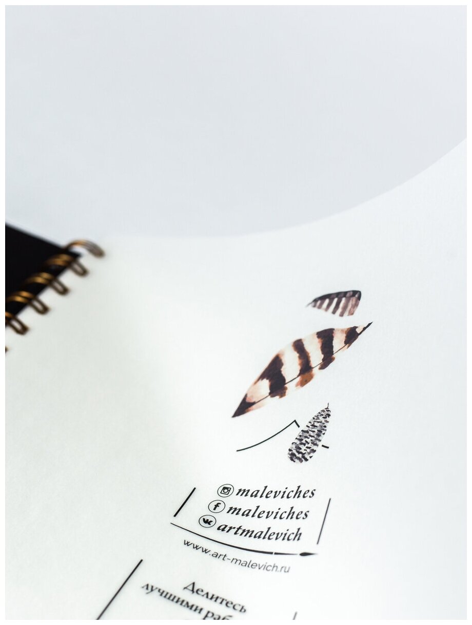 Скетчбук Малевичъ для акварели White Swan, черный, Torchon, 250 г/м, 16х16, 20л